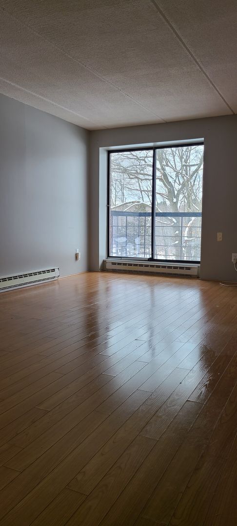 property at 46 Cochituate Rd