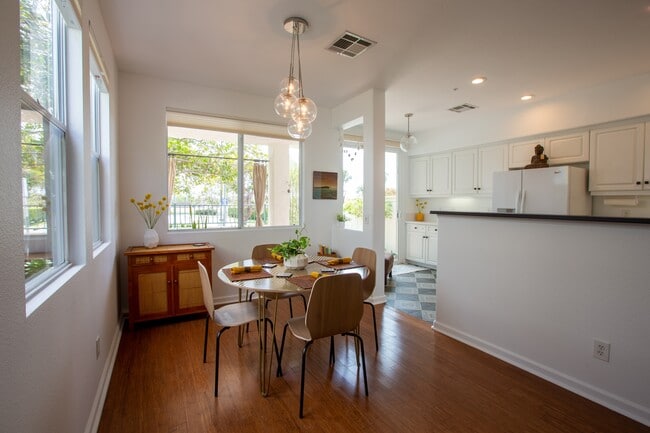 593 Sweet Pea Pl in Encinitas, CA - Building Photo - Building Photo