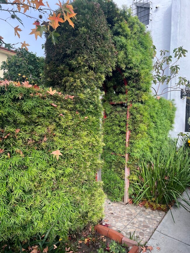 8361 Blackburn Ave, Unit 1 in Los Angeles, CA - Foto de edificio - Building Photo