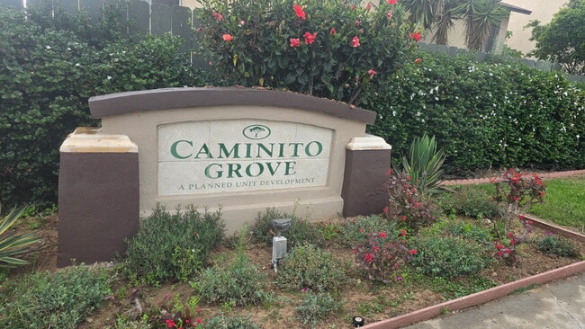 2678 Caminito Secoya in San Diego, CA - Building Photo - Building Photo