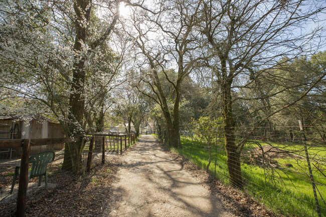 845 Horn in Glen Ellen, CA - Building Photo - Other