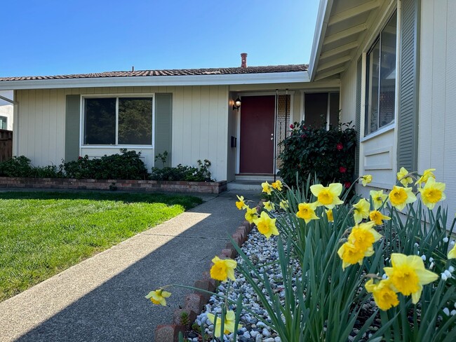 141 Dardanelle Ct in Martinez, CA - Foto de edificio - Building Photo