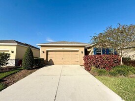 31591 Tansy Bnd in Wesley Chapel, FL - Building Photo