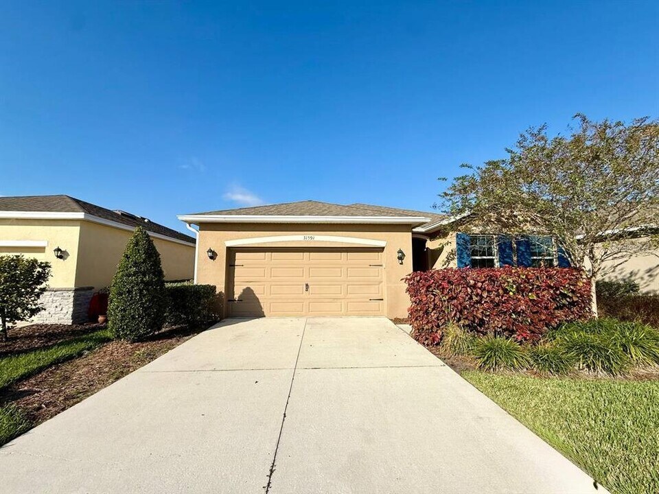 31591 Tansy Bnd in Wesley Chapel, FL - Building Photo
