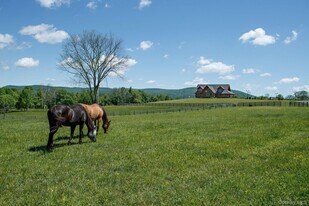 209 Cricket Hill Rd in Dover Plains, NY - Building Photo