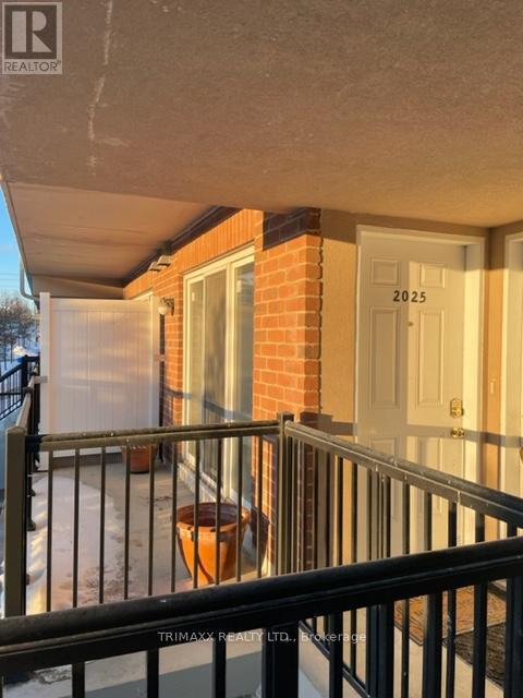 3031 Finch Ave W in Toronto, ON - Building Photo - Building Photo