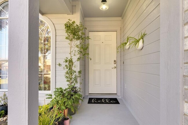 507 Clear Spring Ln in Leander, TX - Building Photo - Building Photo