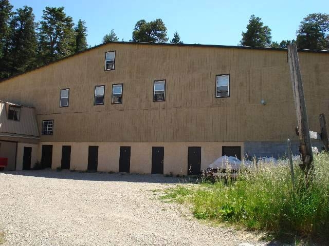 101 Osha Trl in Cloudcroft, NM - Building Photo