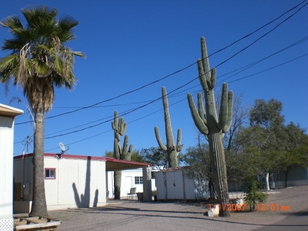 Foothills Mobile Home Park in Apache Junction, AZ - Building Photo