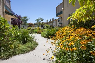 California Oaks in Mountain View, CA - Building Photo - Building Photo