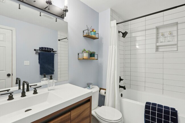 115 W 7th St, Unit 3 in Boston, MA - Building Photo - Building Photo