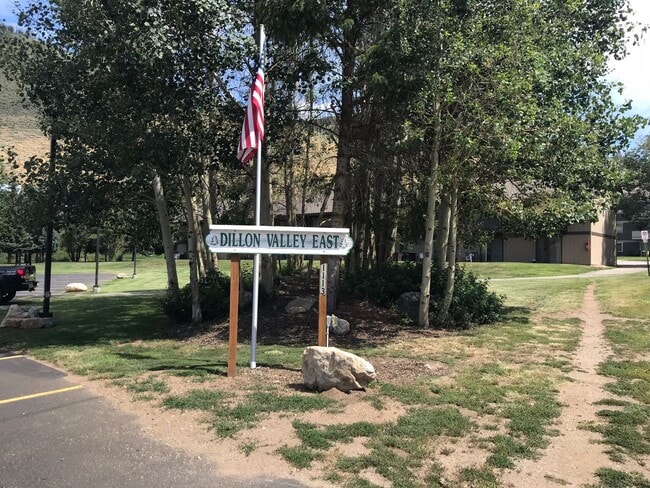 763 Straight Creek Dr in Dillon, CO - Building Photo - Building Photo