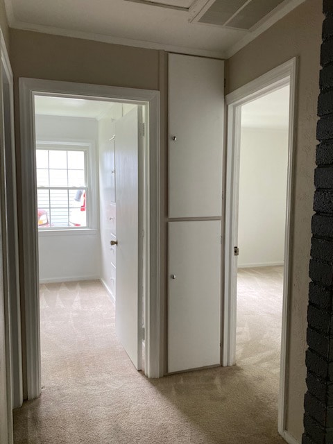 355 Erskine Ave in Youngstown, OH - Building Photo - Building Photo