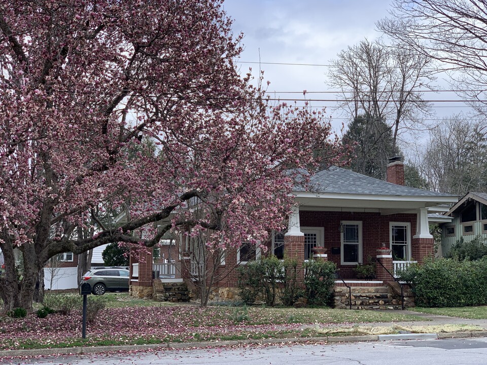 218 W Main St in Brevard, NC - Building Photo