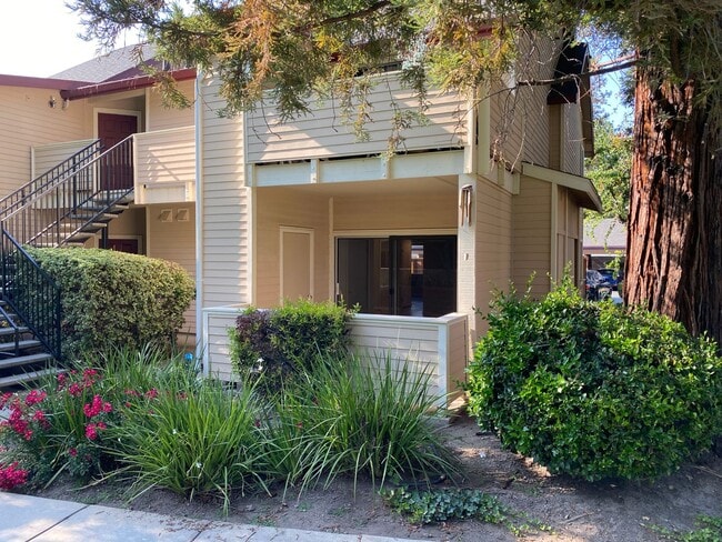 property at 1104 Cedar Gables Dr