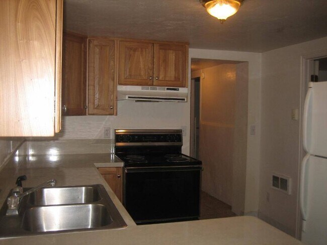 725 N 10th Ave in Pocatello, ID - Building Photo - Building Photo