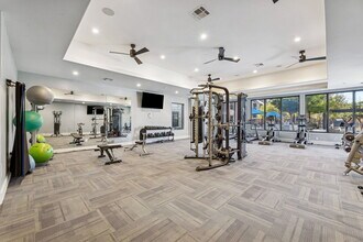 Platinum Castle Hills in Lewisville, TX - Building Photo - Building Photo