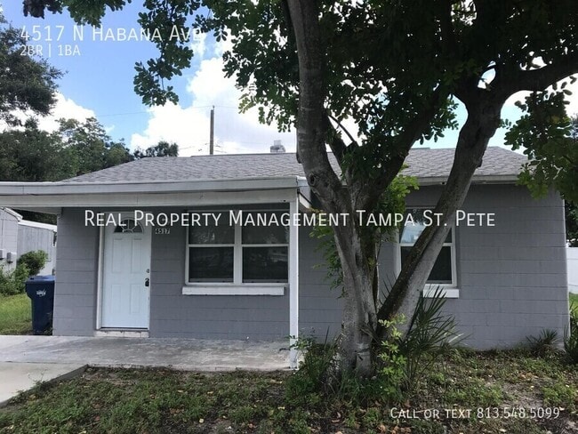 property at 4517 N Habana Ave