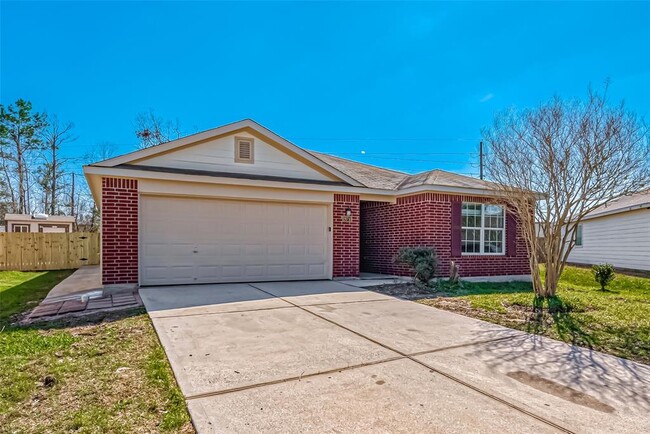 28710 Blanco River Ct in Spring, TX - Building Photo - Building Photo