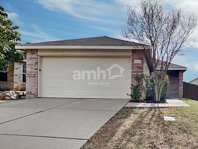 property at 4005 Freedom St