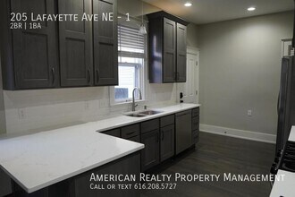 205 Lafayette Ave NE in Grand Rapids, MI - Building Photo - Building Photo