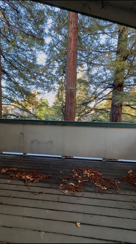 5425 Concord Blvd in Concord, CA - Building Photo - Building Photo