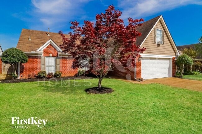 2726 Long Shadow Ln in Memphis, TN - Building Photo - Building Photo