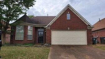8619 Brer Rabbit Cove in Memphis, TN - Building Photo