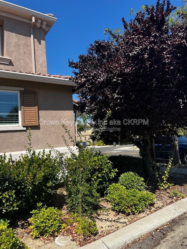 172 W Viola St in Tracy, CA - Building Photo - Building Photo