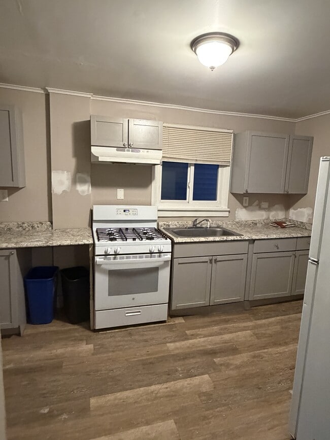 46 Elgin St in Rochester, NY - Building Photo - Building Photo