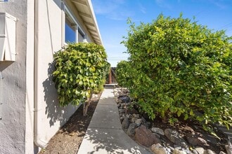 19695 Bernal St in Castro Valley, CA - Building Photo - Building Photo