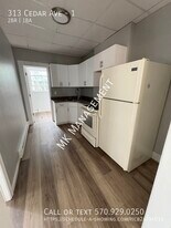 313 Cedar Ave in Scranton, PA - Building Photo