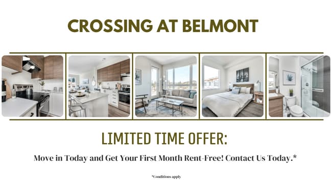Crossing at Belmont