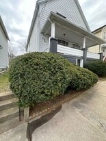 41 W Field St in Nanticoke, PA - Building Photo