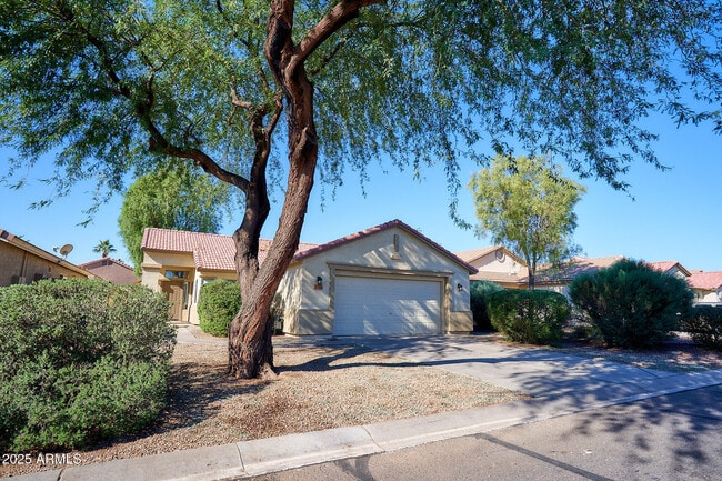 property at 30496 Maple Chase Dr