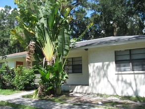 5802 Mohr Loop in Tampa, FL - Building Photo - Other