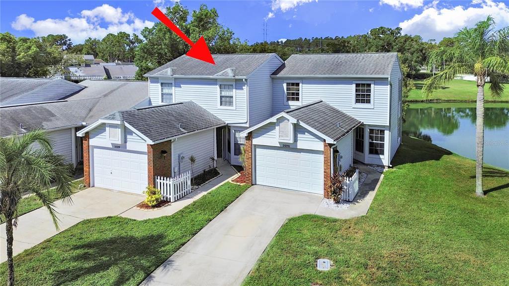 3121 Beecher Dr E in Palm Harbor, FL - Building Photo