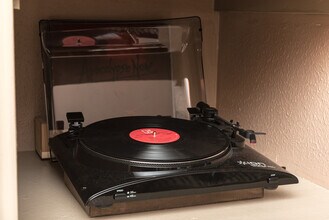 20415 Linden Tree Dr in Katy, TX - Building Photo - Building Photo