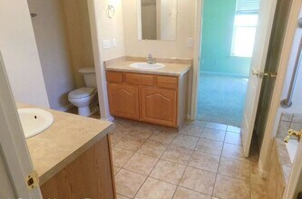 830 Montclair Dr in Palisade, CO - Building Photo - Building Photo