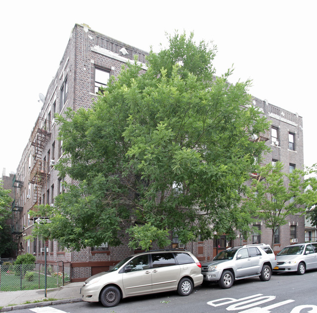 584 Rugby Rd in Brooklyn, NY - Foto de edificio - Building Photo