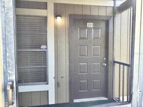 14313 Hanging Moss Cir in Tampa, FL - Building Photo - Building Photo