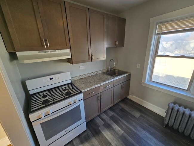 4829 N Springfield Ave in Chicago, IL - Building Photo - Building Photo