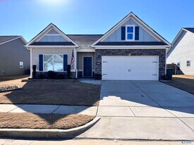 13041 Lantern Pointe Wy in Harvest, AL - Building Photo