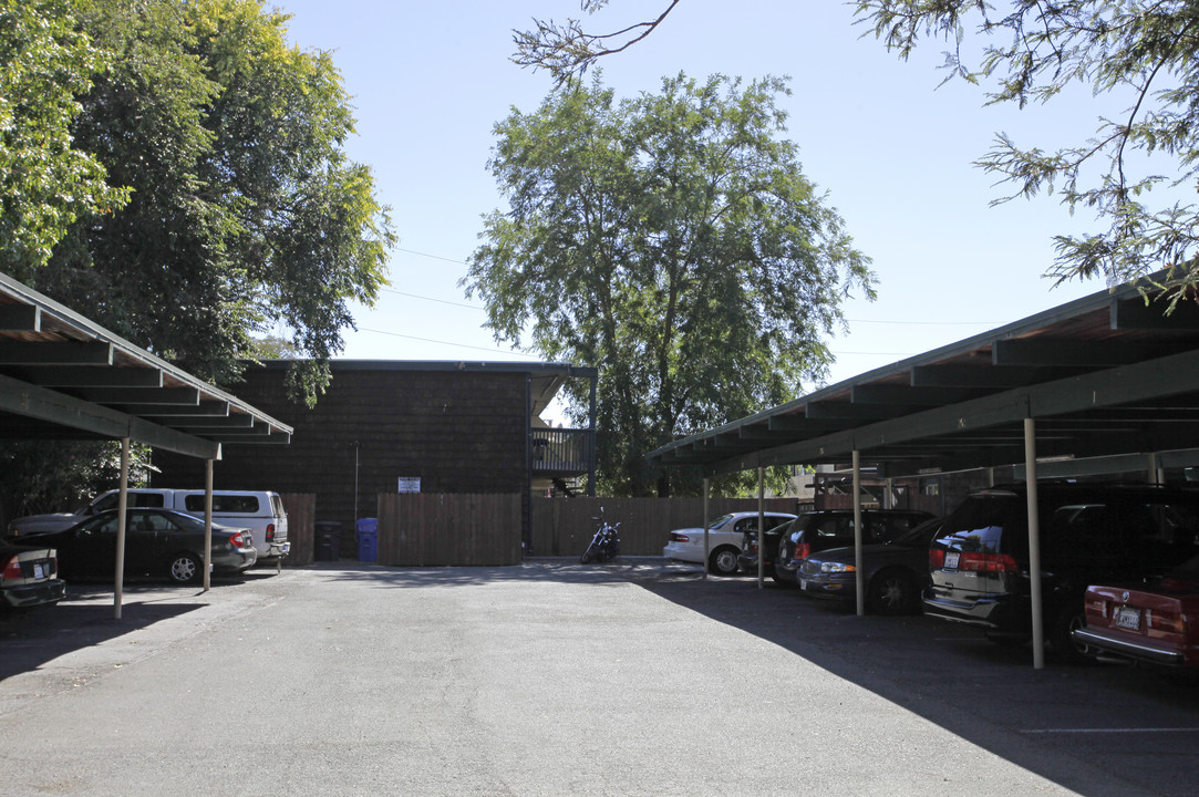 Pine Cone Apartments in Concord, CA - Building Photo