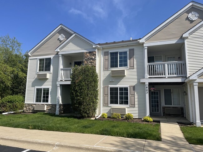 801 Silverstone Dr in Carpentersville, IL - Building Photo - Building Photo