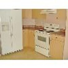10311 SW 54th Ct in Ocala, FL - Building Photo - Building Photo
