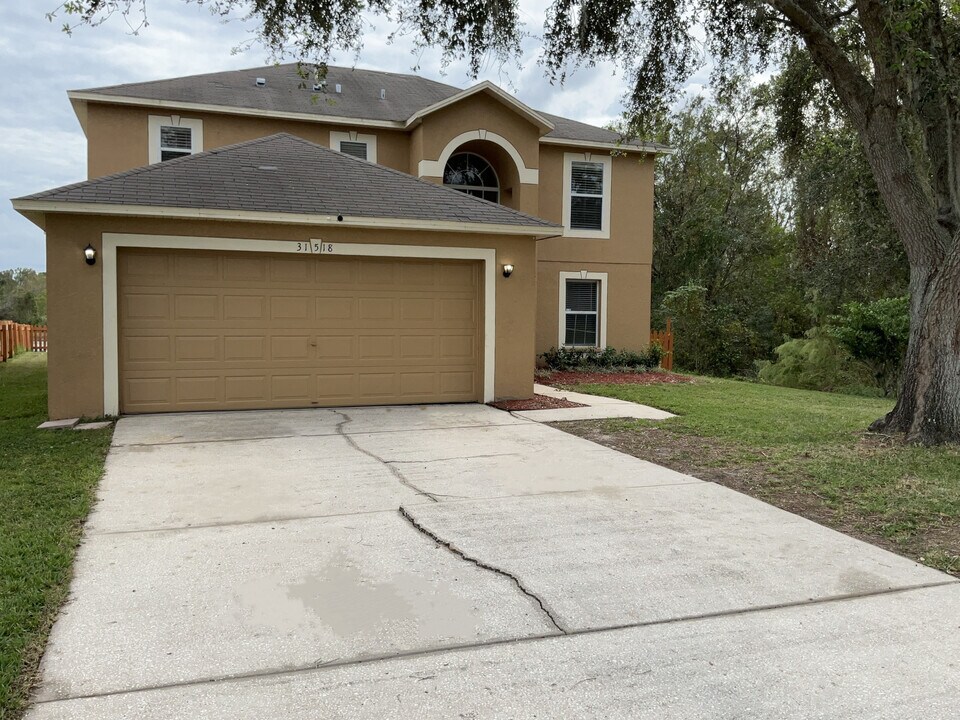 31518 Earn Dr in Wesley Chapel, FL - Building Photo