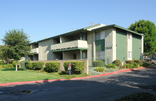 Ninth Street Terrace in Upland, CA - Building Photo - Building Photo