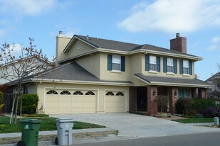 246 Pickering Ave in Fremont, CA - Building Photo