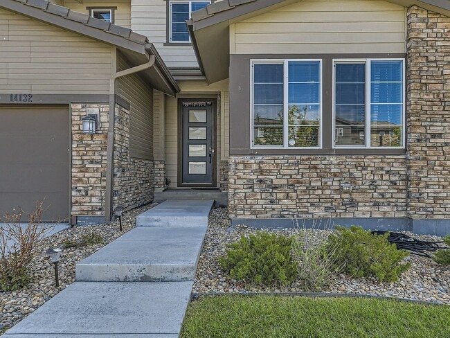 14132 Touchstone Point in Parker, CO - Building Photo - Building Photo